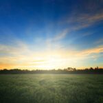 What Exactly Does Aglow Do?